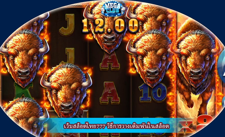 เว็บสล็อตไทย777 วิธีการวางเดิมพันในสล็อต